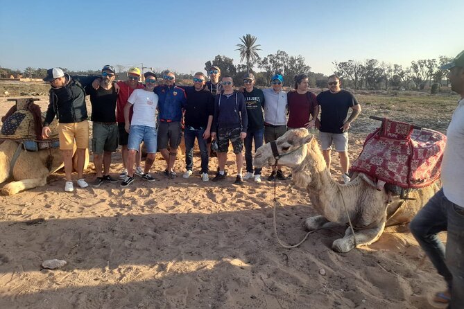 Sunset Camel Ride in Agadir with Dinner in Habitant House - Riding through the eucalyptus trees