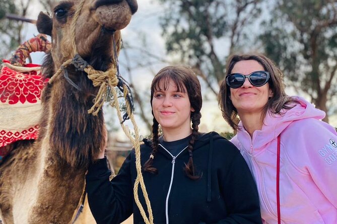 Sunset Camel Ride in Agadir with Dinner in Habitant House - Mint tea, snacks, and the dinner question