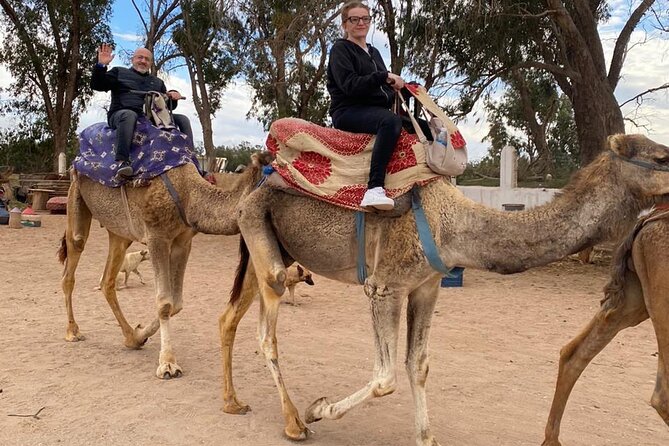 Sunset Camel Ride in Agadir with Dinner in Habitant House - Is $29.04 a good value?