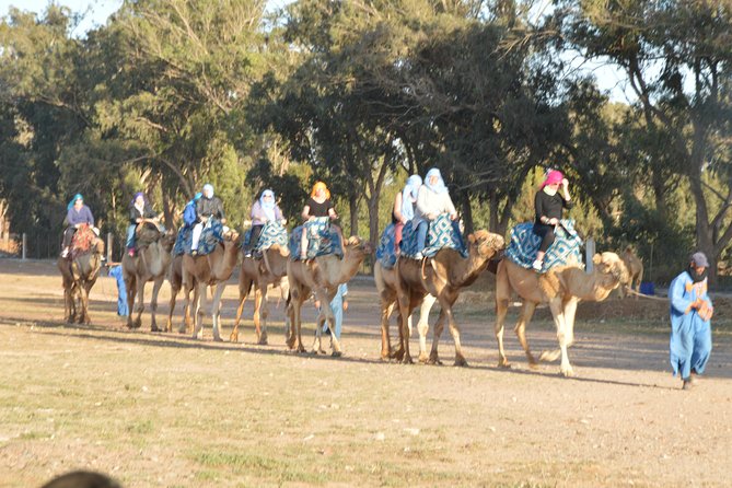 Sunset camel ride in Agadir with transport, tea and cakes. - Pickup from Agadir hotels and the short ride to the ranch
