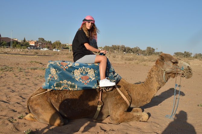 Sunset camel ride in Agadir with transport, tea and cakes. - Meeting your camel at Aghroud Bensergao