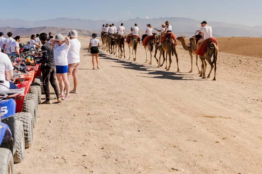 Sunset Camel Ride in Agafay Desert with dinner and pool - Key points at a glance
