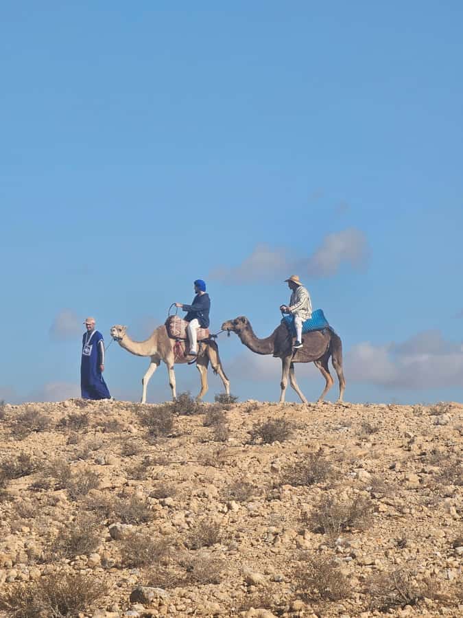 Sunset Camel Ride in Agafay Desert with dinner and pool - Is $74 a fair price?