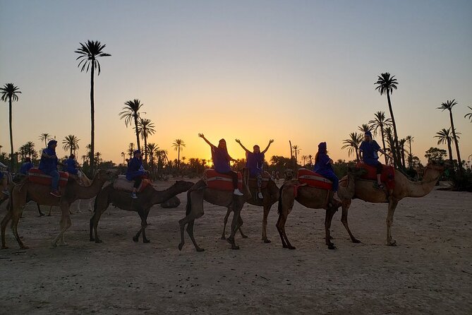 Sunset Camel Ride in the Palm Grove of Marrakech - Mint tea, bread, olives, and a Berber welcome
