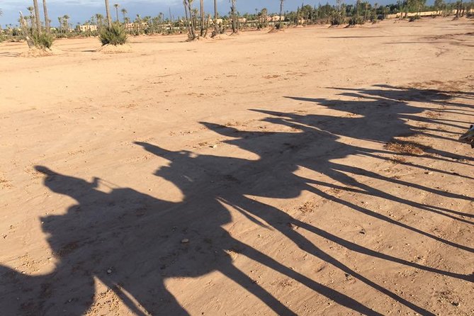 Sunset Camel Ride in the Palm Grove of Marrakech - Mounting the camel and learning what to expect