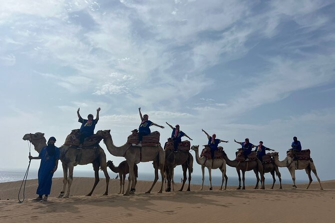 Sunset Camel Ride tour with Barbecue dinner in the beach - Key details before you book