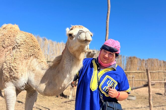 Sunset Camel Ride tour with Barbecue dinner in the beach - What the $69.69 price really covers