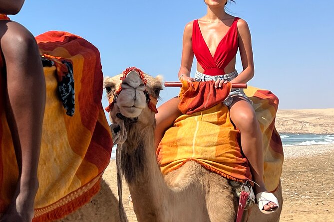 Sunset Camel Ride tour with Barbecue dinner in the beach - Who will enjoy this Agadir excursion