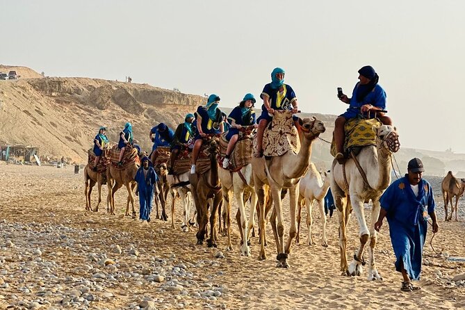 Sunset Camel Ride tour with Barbecue dinner in the beach - Practical tips for a better evening