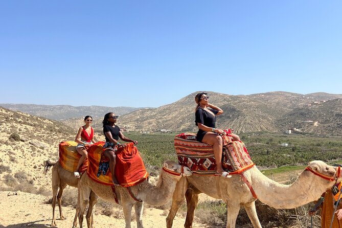 Sunset Camel Ride tour with Barbecue dinner in the beach - Through Tamri’s banana fields and river country