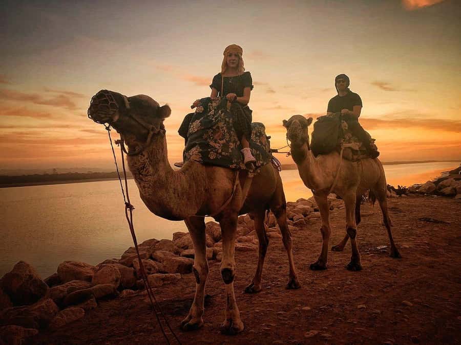 Sunset Camel Riding Including BBQ Dinner & Hotel Transfers - Meeting the camels and getting comfortable