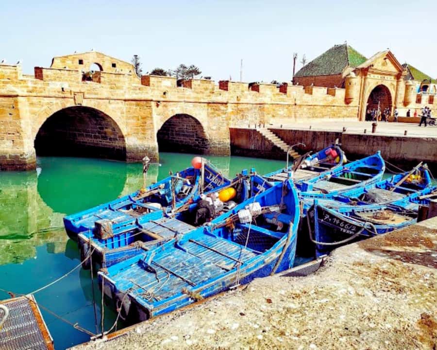 Surf Training and Lunch on Essaouira Day Trip from Marrakech - What makes Essaouira different from Marrakech