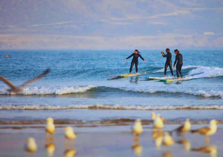 Surf Training and Lunch on Essaouira Day Trip from Marrakech - Who should book this Essaouira surf trip?