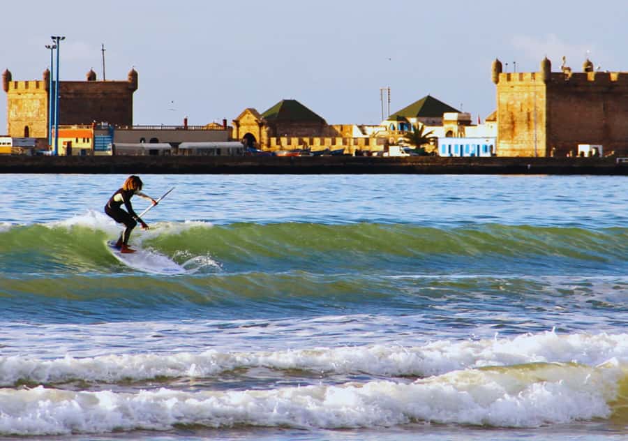 Surf Training and Lunch on Essaouira Day Trip from Marrakech - A 30-minute look at Morocco’s argan oil trade