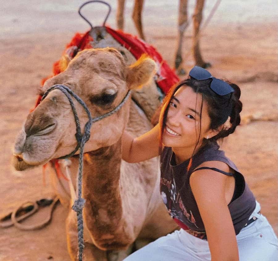 Tangier: Achakar Beach Sunset Camel Ride & Moroccan Dinner - Key points at a glance