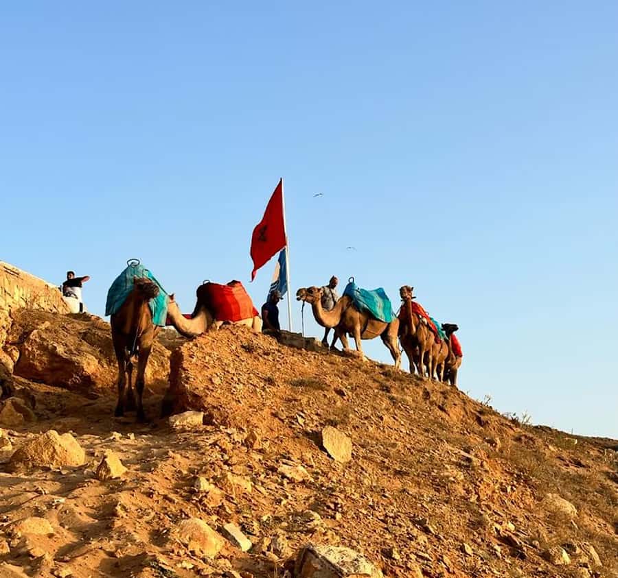 Tangier: Achakar Beach Sunset Camel Ride & Moroccan Dinner - Why this Tangier evening works well