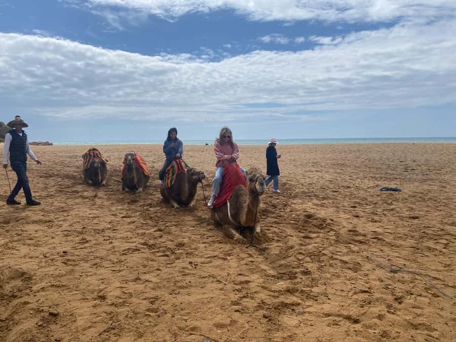 Tangier: Cap Spartel, Hercules Caves & Camel Riding - Drivers, comfort, and the human side of the tour