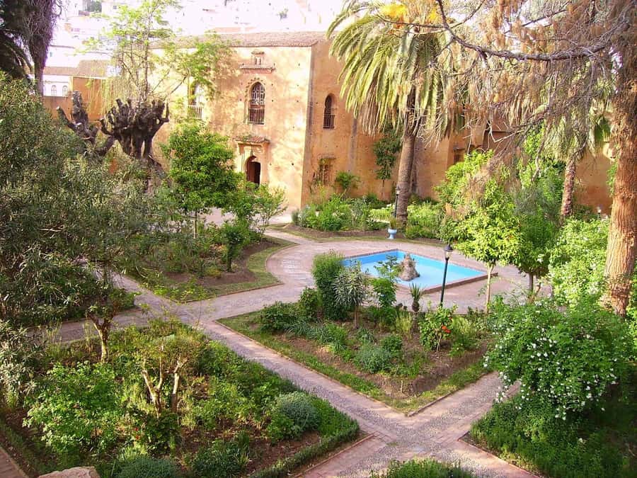 Tangier & Chefchaouen: 2-Day Tour From Casablanca By Train - The weak point in Tangier: guide consistency
