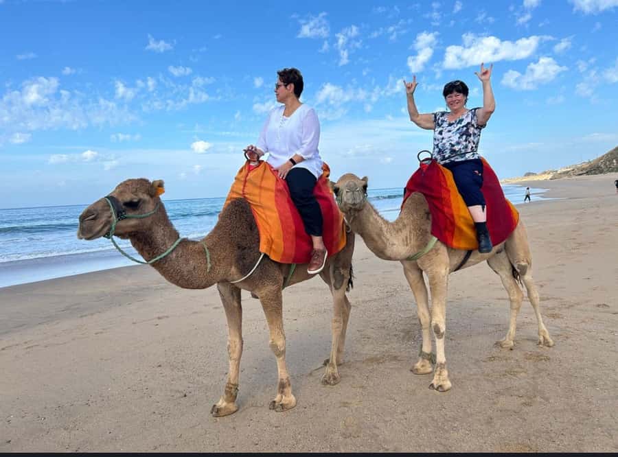 Tangier: Full-Day Private Sightseeing Tour with Camel Ride - Key points to know before booking
