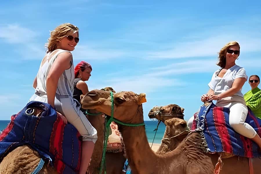 Tangier: Full-Day Private Sightseeing Tour with Camel Ride - Why this makes sense for a first day in Tangier