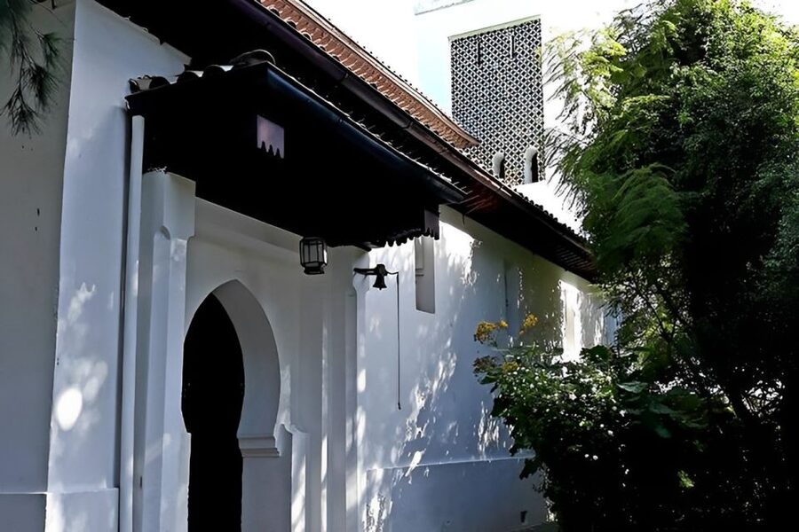 Tangier: Full-Day Private Sightseeing Tour with Camel Ride - Perdicaris Park, Tangier’s leafy pause