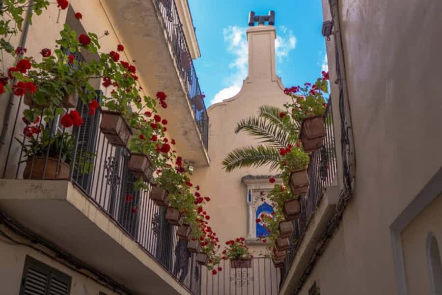 Tangier Half-Day Guided City Tour - From the modern city to the Grand Socco