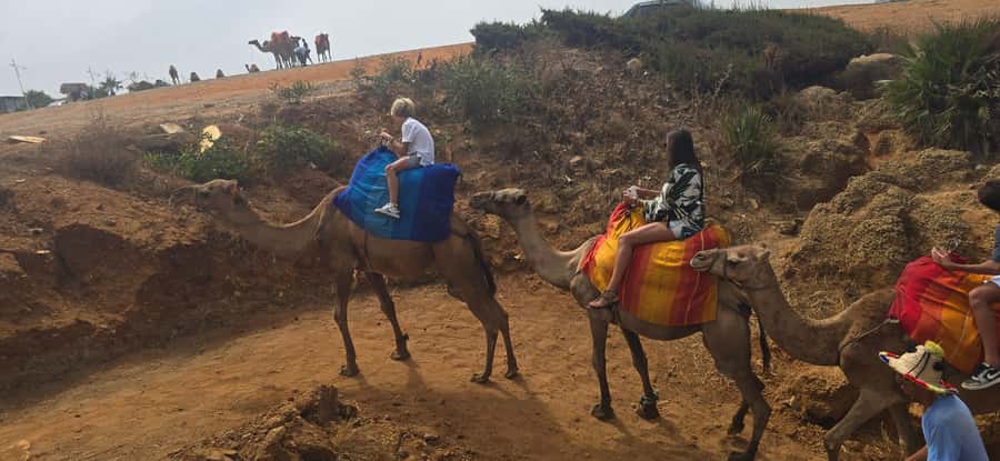 Tangier Private Tour: Explore And Camel Ride Adventure - What the private format really gives you