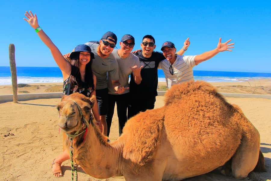 Tangier: sunset, tea, camel ride, Cape Spartel and caves. - Photos, timing, and the best part of the day