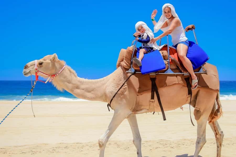 Tangier: sunset, tea, camel ride, Cape Spartel and caves. - Where the tour delivers value