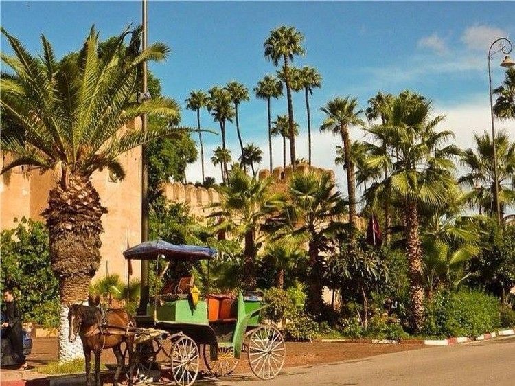 Taroudant and Tiout Oasis Trip With Lunch - Key points to know before you go