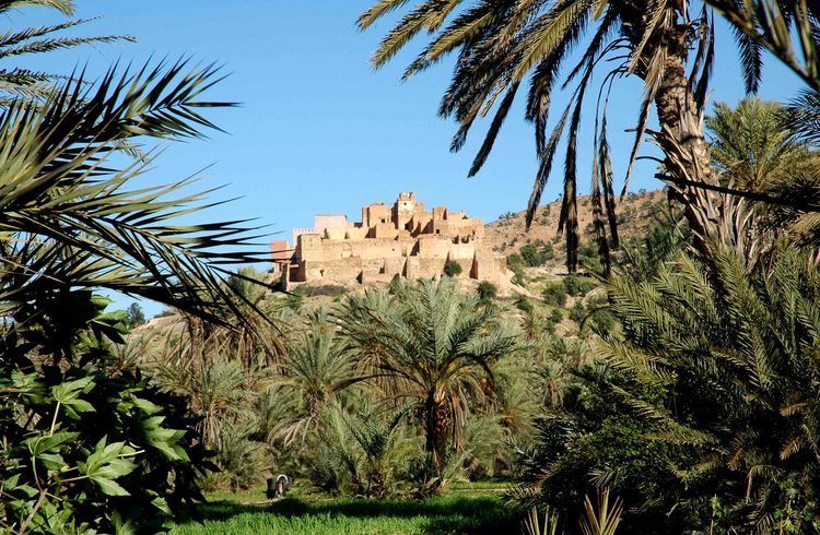 Taroudant and Tiout Oasis Trip With Lunch - Lunch above the Souss Valley