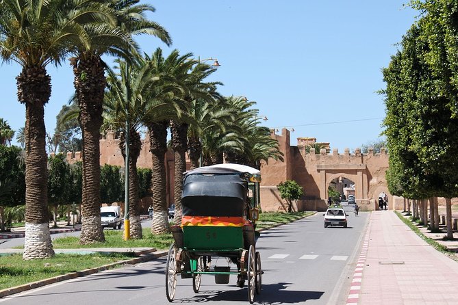 Taroudant + Tiout excursion 1 day with homestay lunch from agadir - The optional donkey ride through the palm grove