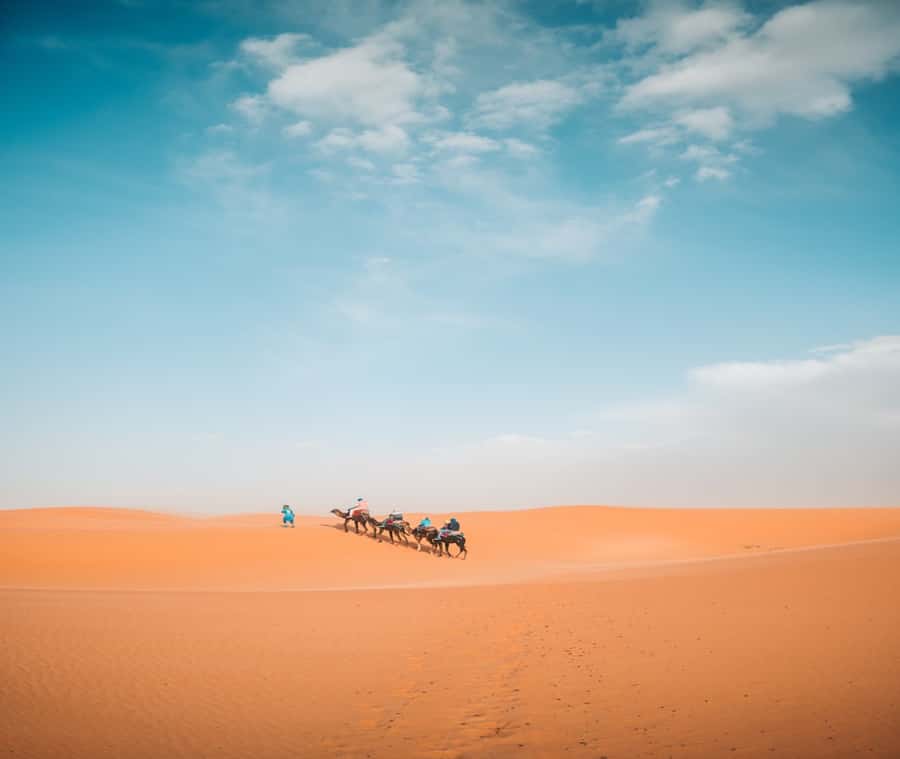the luxury 2days 1night desert tour from fez to fez/marakech - Leaving Fez for the Atlas Mountains