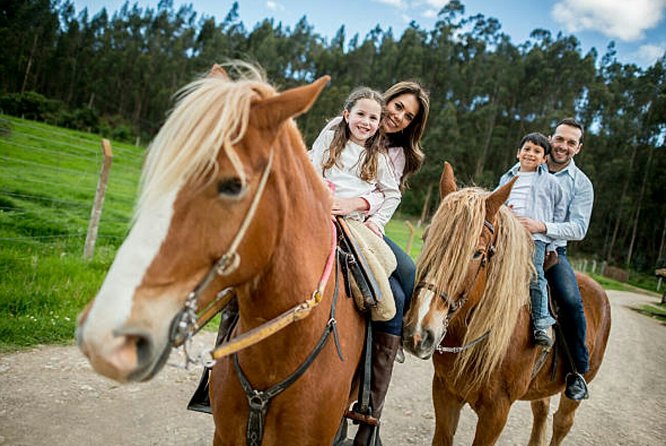 Top Packages Activities Discover Agadir and Morroco ® - Why the vehicle and pickup service matter