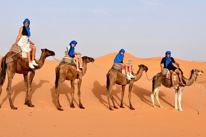 Tour from Ouarzazate to Vallee Du Draa and Dunes Of Tinfou - Tinfou Dunes and the one-hour camel ride