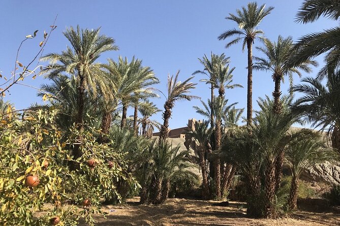 Tour from Ouarzazate to Vallee Du Draa and Dunes Of Tinfou - What the $186.10 price includes