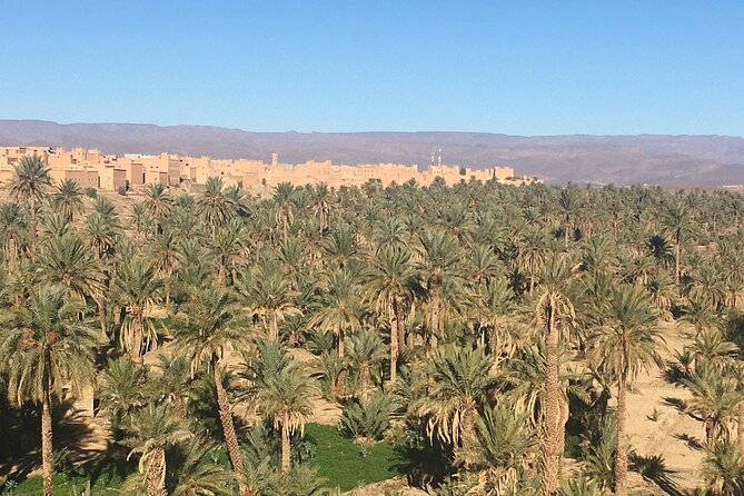 Tour from Ouarzazate to Vallee Du Draa and Dunes Of Tinfou - Who should book this Draa Valley excursion?