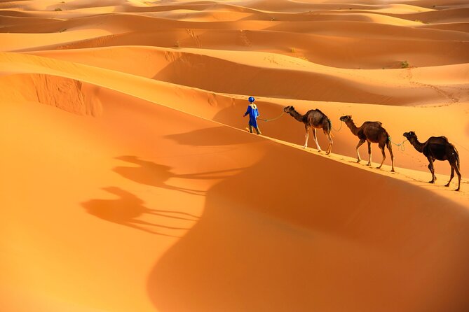 trip of your dreams in 3 days and 2 nights in the desert - Day one: High Atlas passes and Ait Ben Haddou