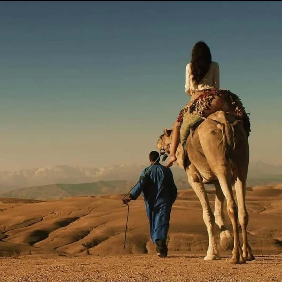 Unforgettable Desert Night: Dinner, Camel Ride & Quad Bike - Sunrise is the reason to set an early alarm