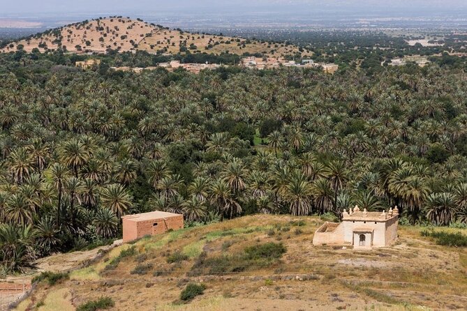 Visit Taroudant and Tiout 1 day From Agadir - Guide quality and the group-size question