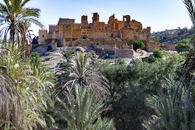 Visit Taroudant and Tiout 1 day From Agadir - Who should book this Agadir day trip?