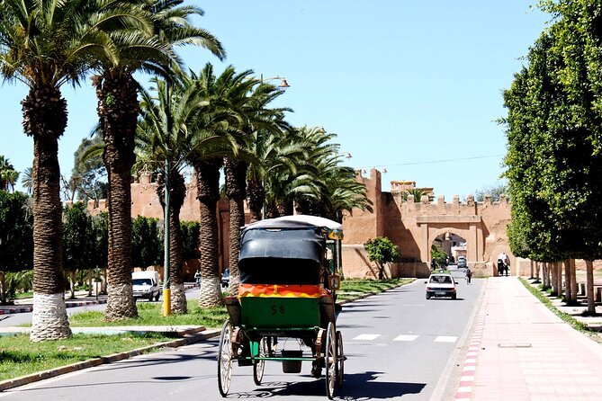 Visit Taroudant and Tiout 1 day From Agadir - Tiout and the palm grove