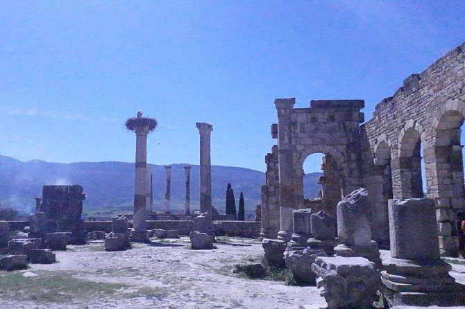 Volubilis mulay idriss and meknas tour - Drivers, guides, and the value of local help