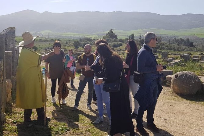 Volubilis mulay idriss and meknas tour - Who will enjoy this day trip?