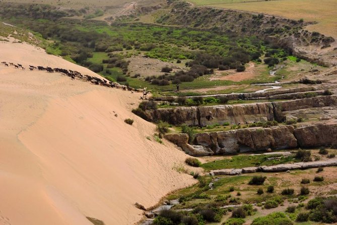 Walk between Argan Forest, Ocean & Waterfalls. 12 km - Key points at a glance