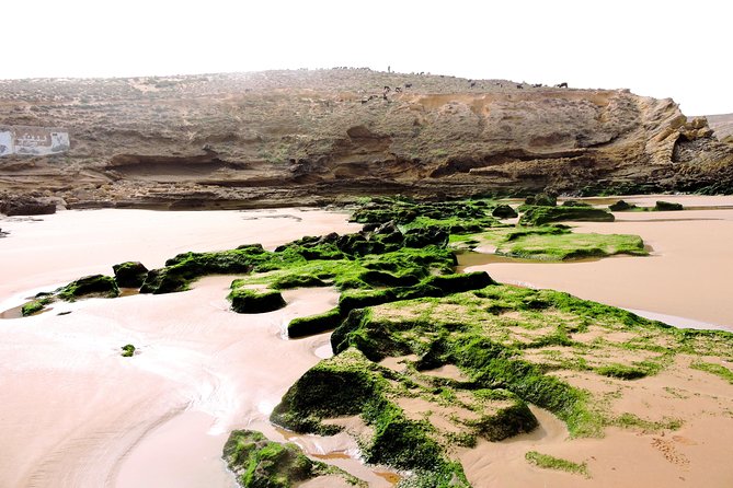 Walk between Argan Forest, Ocean & Waterfalls. 12 km - Why this walk is different from a standard Essaouira outing