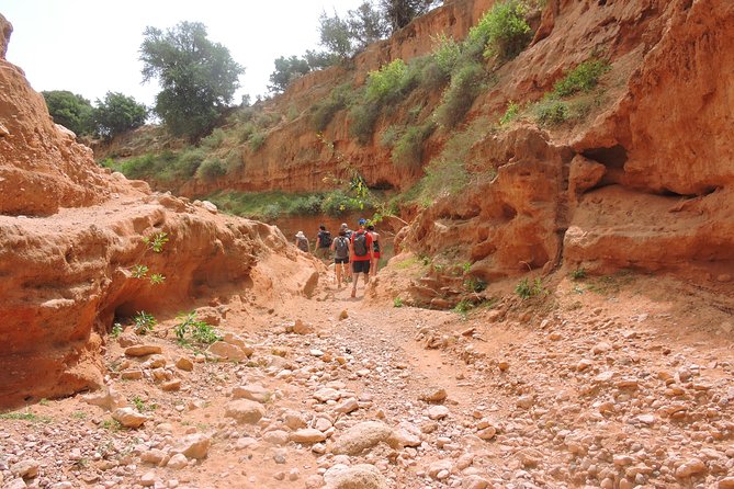 Walk between Argan Forest, Ocean & Waterfalls. 12 km - Reaching the wild beach