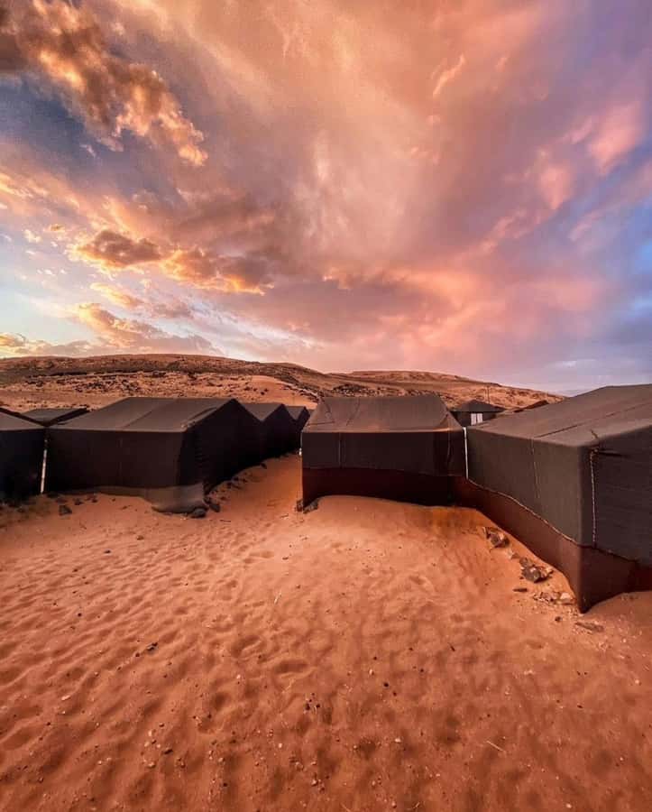Zagora Desert: 2-Day 1-Night Desert Expedition to Remember - What the $181 price really buys you