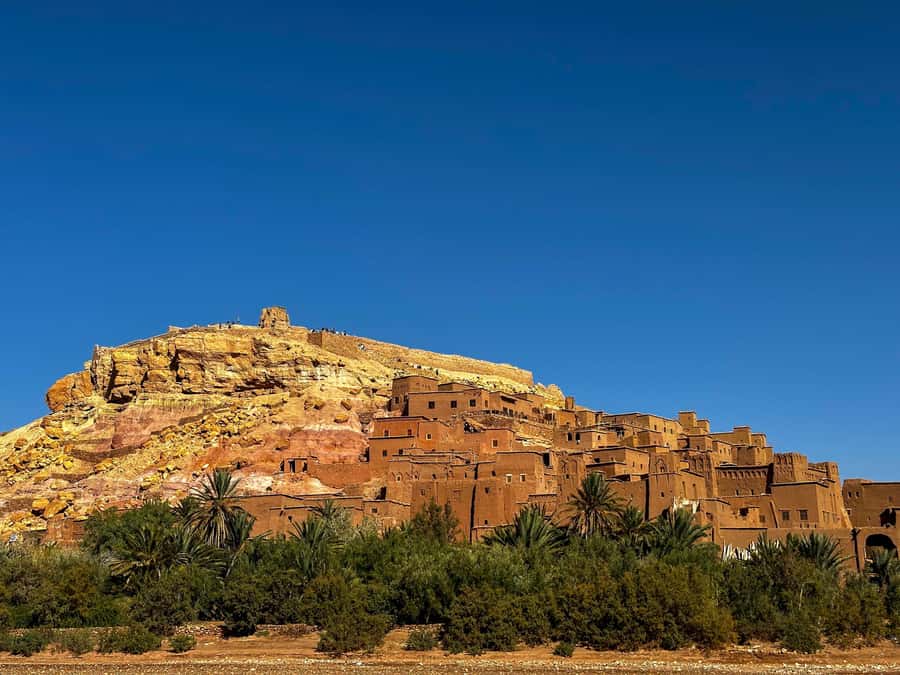 Zagora Desert: 2-Day 1-Night Desert Expedition to Remember - Sunrise, breakfast, and the shorter camel ride back